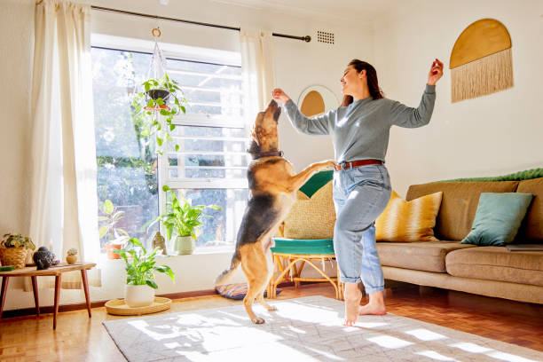 istockphoto-1355274470-612x612-1 Dog Training 102: Great Tips on How to Train a Dog